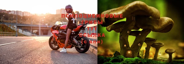 марки lsd Алзамай