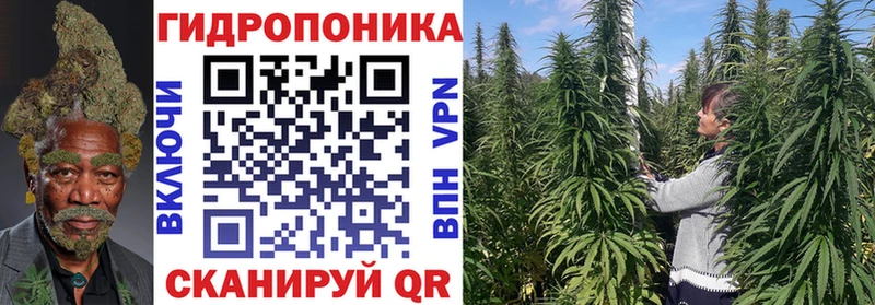 Марихуана гибрид  Курлово 